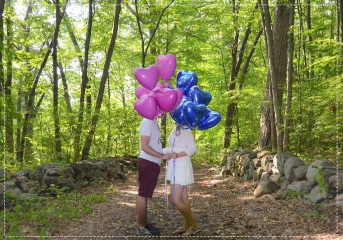 gender reveal party